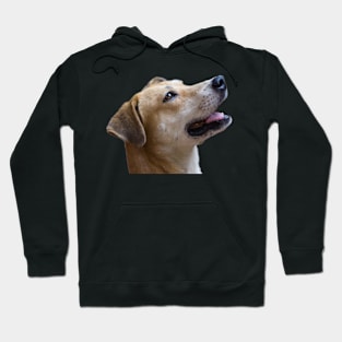 i love dog Hoodie